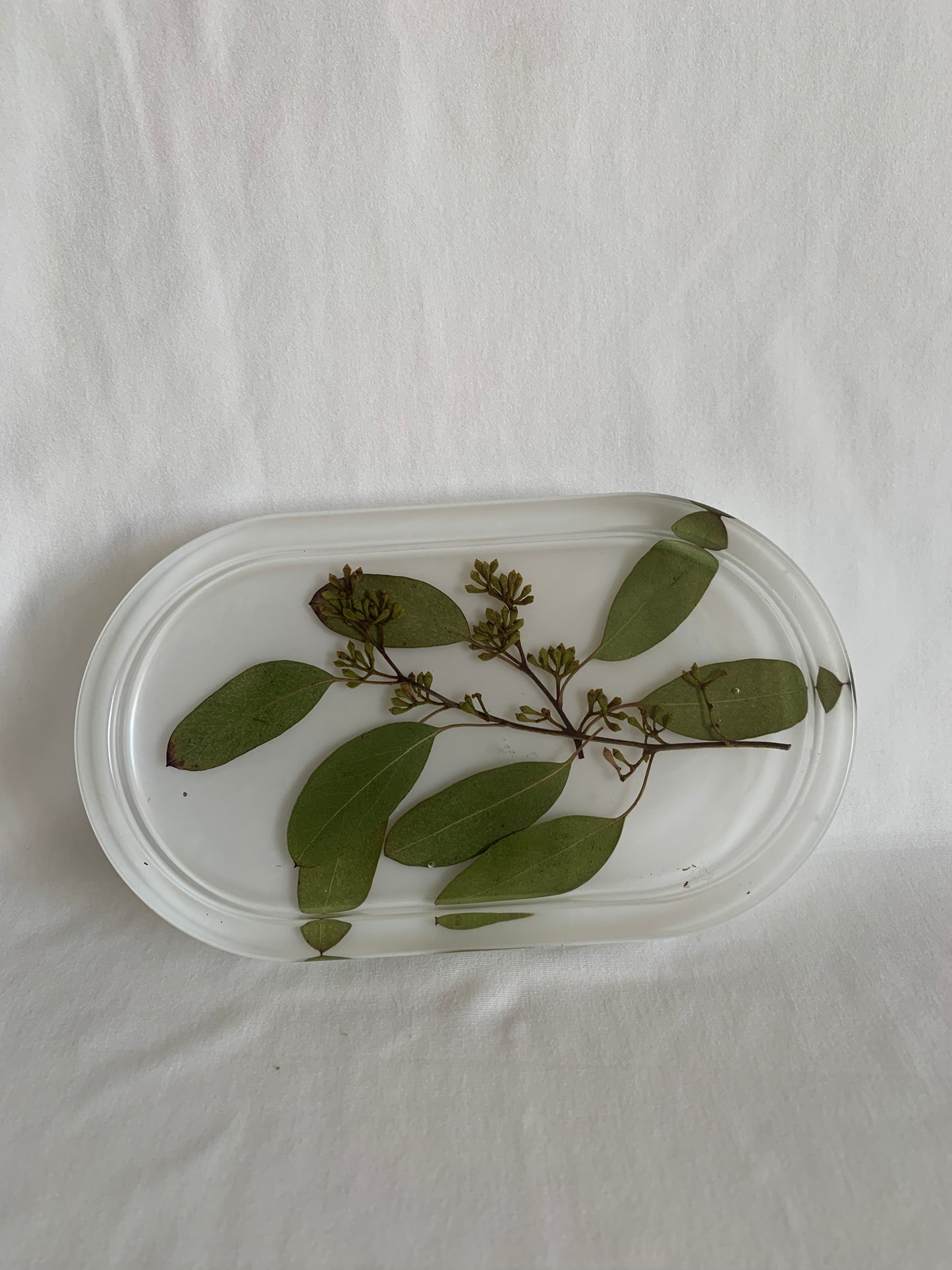 Eucalyptus Tray