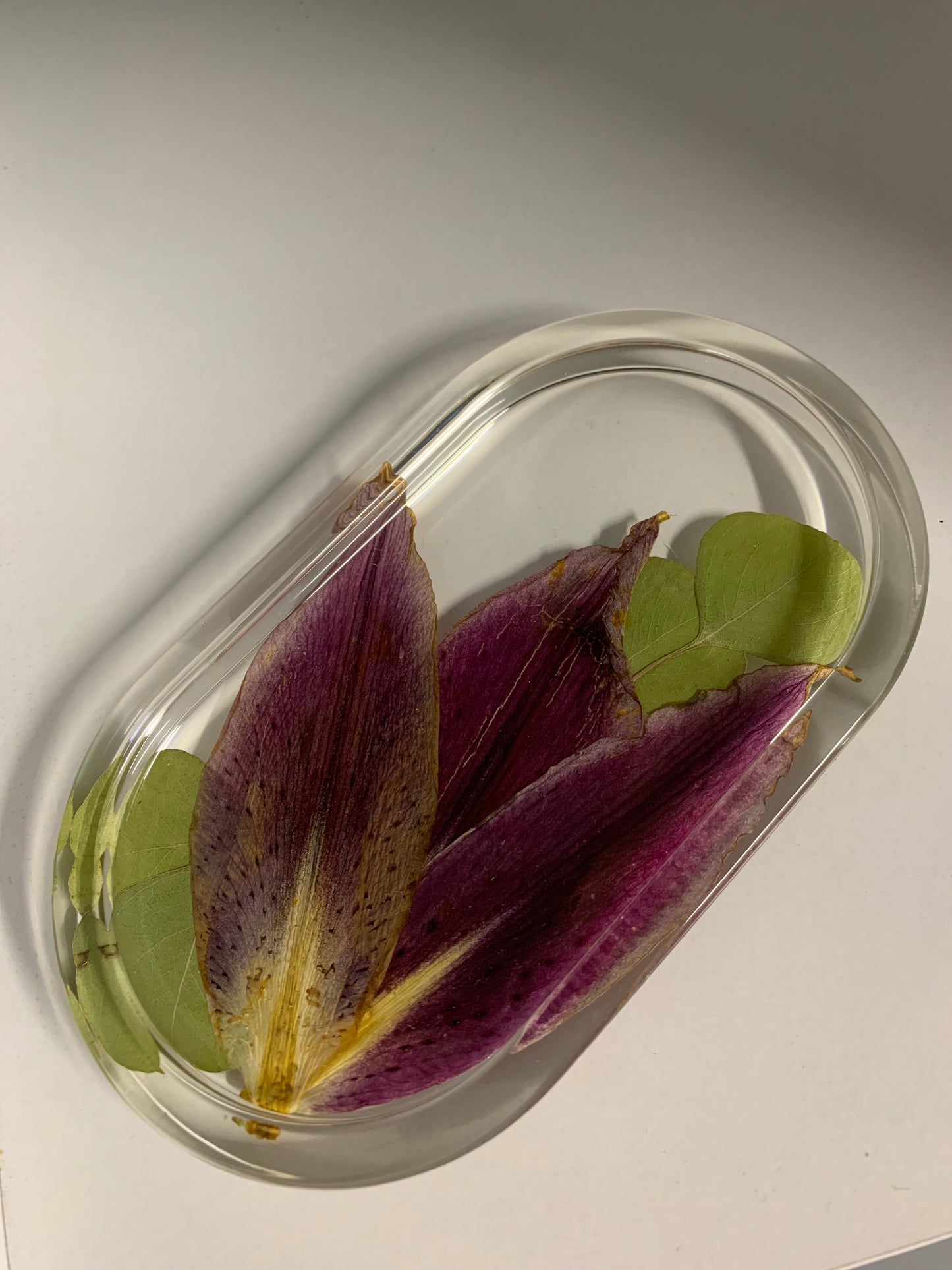 Oriental Lily Tray