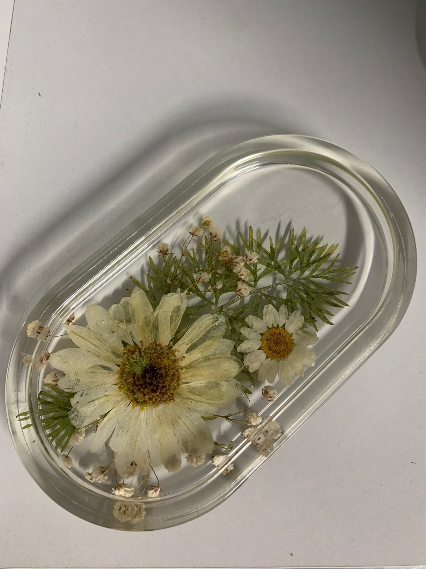 White Daisy Tray