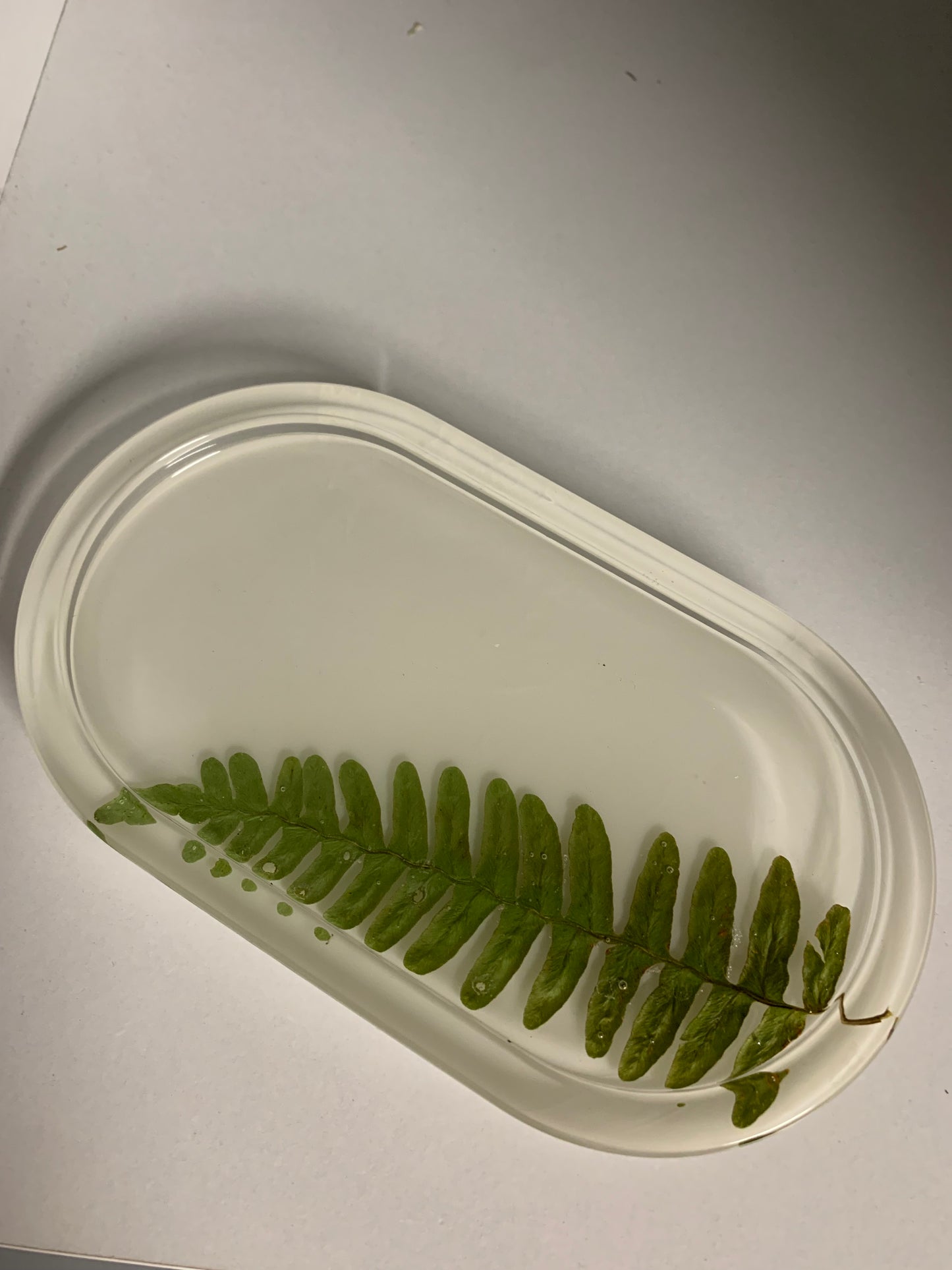 Fern Tray